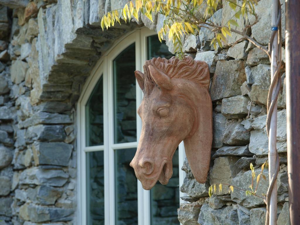 Park Hotel Villa Belvedere Cannobio Bagian luar foto