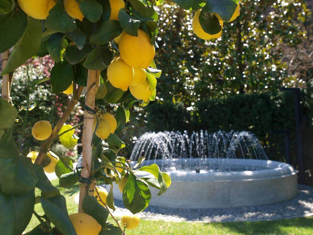 Park Hotel Villa Belvedere Cannobio Bagian luar foto
