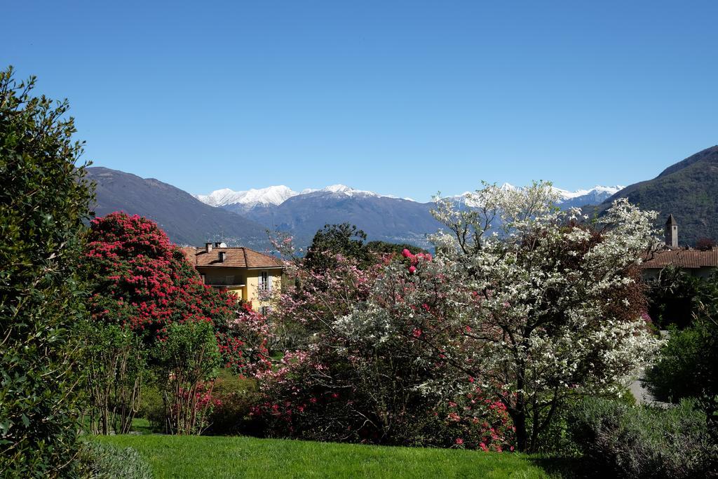 Park Hotel Villa Belvedere Cannobio Bagian luar foto