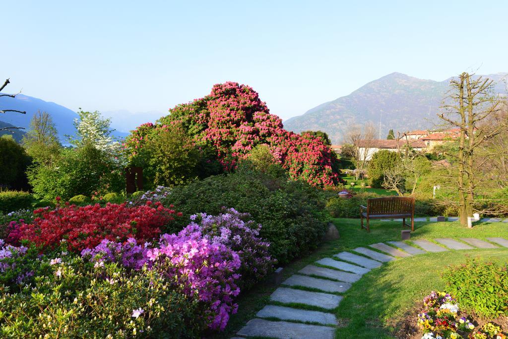 Park Hotel Villa Belvedere Cannobio Bagian luar foto