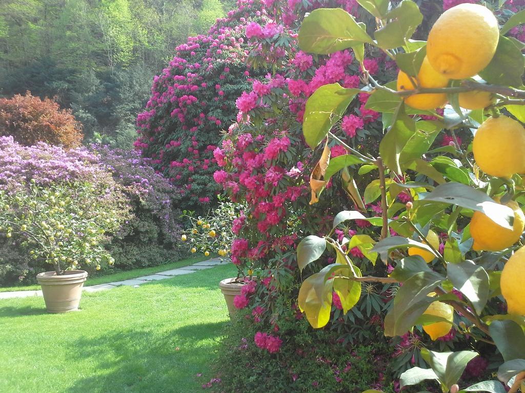 Park Hotel Villa Belvedere Cannobio Bagian luar foto